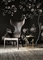 Lou Anthropomorphous leu a poltrona pela cor de Philippe Starck opcional fornecedor