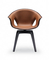 A Senhora Gengibre Cadeira de Poltrona da fibra de vidro da réplica projetou por Roberto Lazzeroni fornecedor